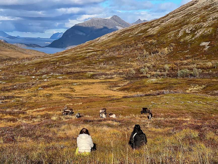 Tromso: Fjord Arctic Adventure Expedition - Guides Who Set the Tone: Dominic, Pepe, Christine, and Others