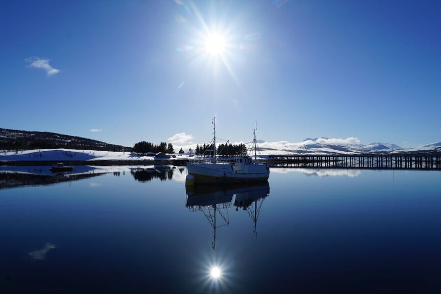 Tromsø: Fjord Cruise by Luxury Yacht - Grindøya, Håkøya, and the mountain walls above the Norwegian Sea