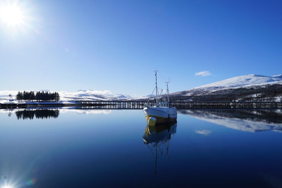 Tromsø: Fjord Cruise by Luxury Yacht - Fishing, steering, and hands-on moments on the water