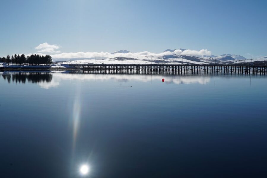 Tromsø: Fjord Cruise by Luxury Yacht - Meeting the Arctic Queen at Scandic Ishavshotel