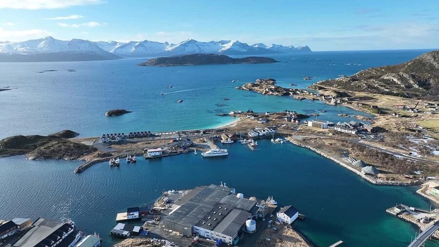 Tromsø Fjord Cruise - With a stop at Sommarøy Island - Tromsø fjords from water level: why this cruise works