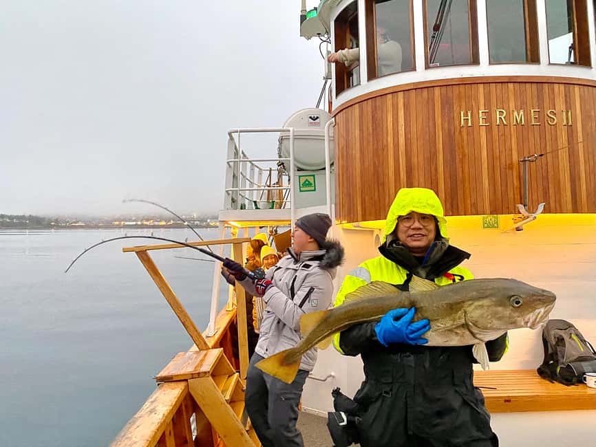 Tromsø: Fjord Fishing Cruise - Key Things to Know Before You Go