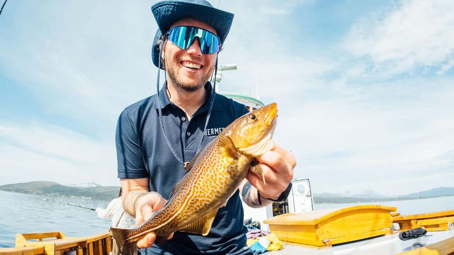 Tromsø: Fjord Fishing Cruise - Price and Value for a 4.5-Hour Arctic Experience