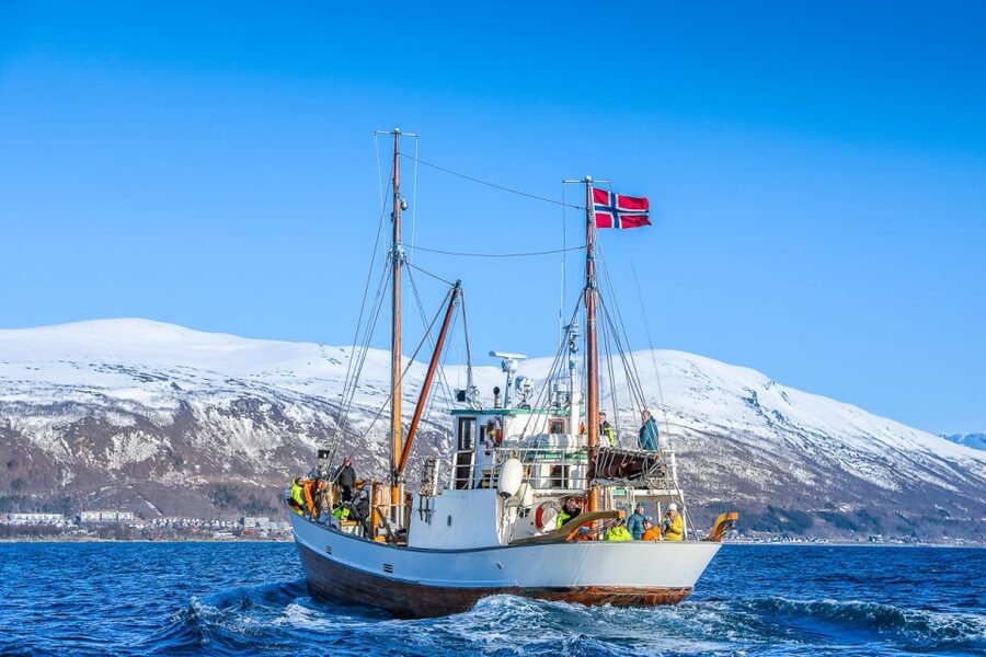 Tromsø: Fjord History Cruise with Snack and Drinks - The snack and drinks: warm fish cake, coffee or tea, and what you should know