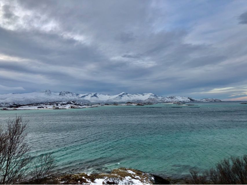 Tromsø: Fjords and Sommarøy Islands Tour with Salmon Picnic - How the fjords and Sommarøy tour flows in 4.5 hours
