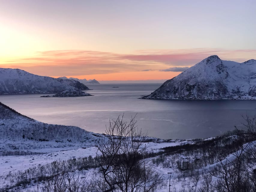 Tromsø: Fjords & Beaches Tour with Campfire and Arctic Food - The 7 Hours, Broken Down: Photos, Wildlife, Walks, and a Beach Fire