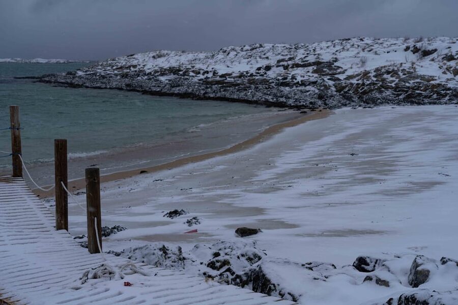 Tromsø: Fjords & Beaches Tour with Campfire and Arctic Food - Price and Value: Why $304 Can Make Sense in Tromsø