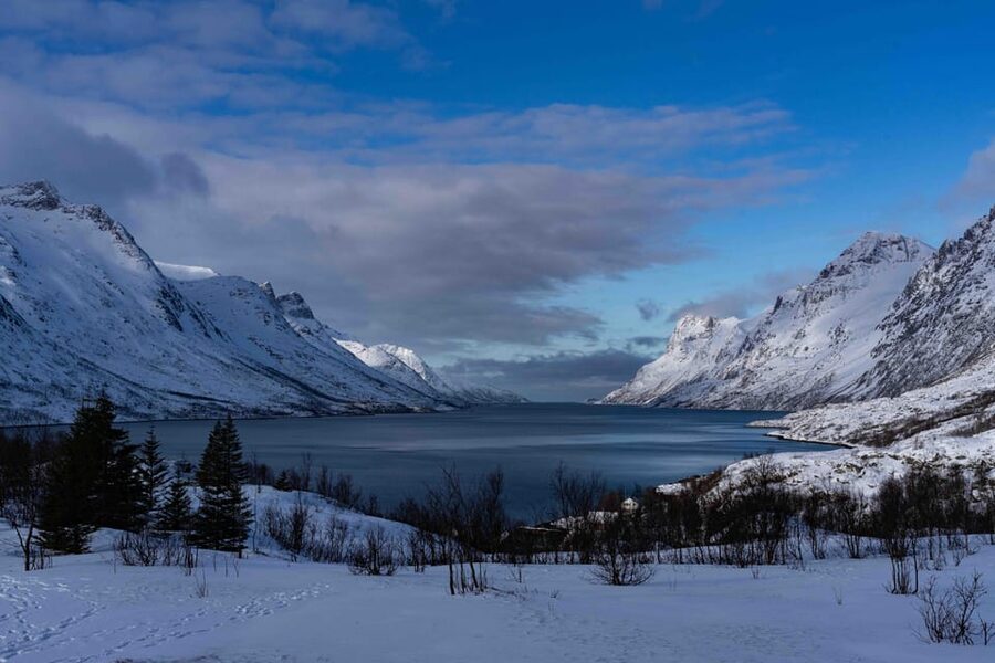 Tromsø: Fjords & Beaches Tour with campfire and Arctic food - Stop 1 at Sommarøy: fjords, frozen lakes, and beach time