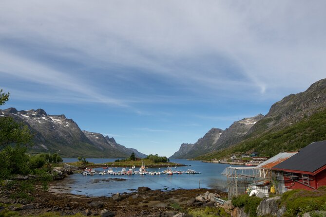 Tromso fjords road trip with fire in grill cabin by the beach. - Timing that works: how to plan your Tromsø day around this drive