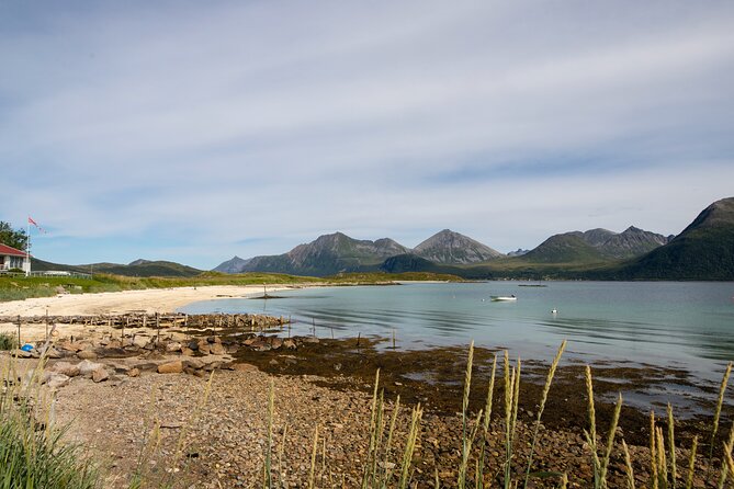 Tromso fjords road trip with fire in grill cabin by the beach. - Price and value: what $137.07 buys in the real world