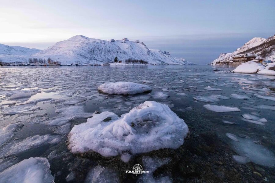 Tromso: Guided Fjord Expedition in Kvaløya with Light Lunch - Why Kvaløya and Sommarøy make sense for a short Arctic day