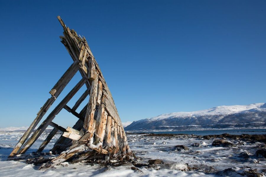 Tromso: Guided Fjord Expedition in Kvaløya with Light Lunch - Price and value: why $146 often feels fair for this kind of day