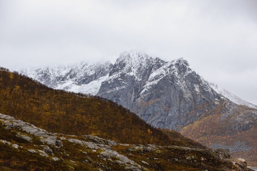 Tromso: Guided Fjord Expedition in Kvaløya with Light Lunch - What to bring and wear, plus the rules that affect comfort