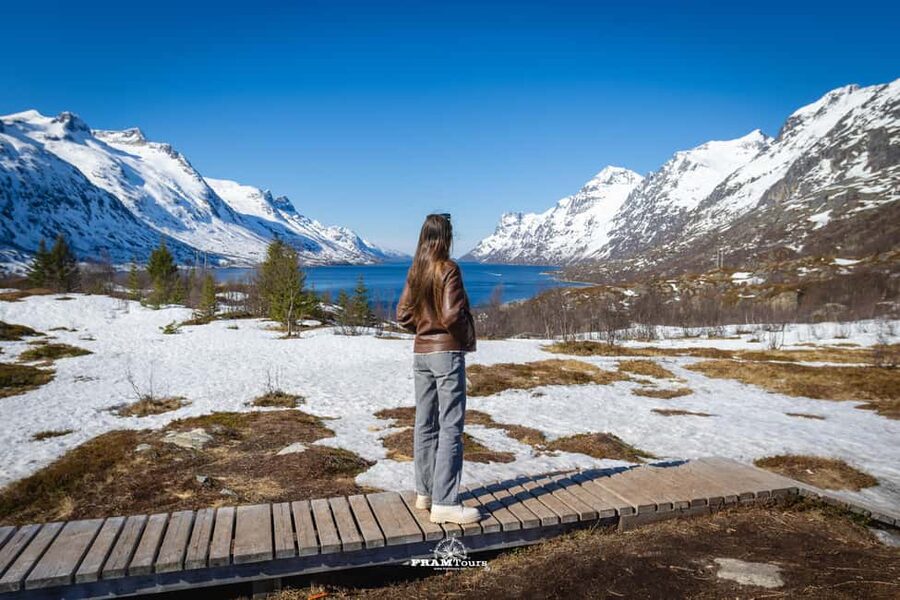 Tromso: Guided Fjord Expedition in Kvaløya with Light Lunch - From Bankgata to fjords: how the 5-hour rhythm works