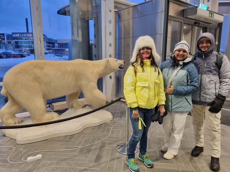 Tromsø: Guided Polar Bear Walk incl. Polaria & Polar Museum - Tromsø’s polar bear story makes more sense than you expect