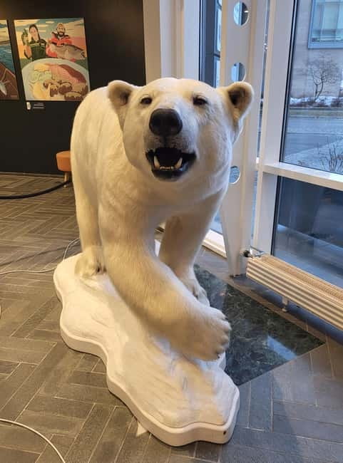 Tromsø: Guided Polar Bear Walk incl. Polaria & Polar Museum - The city walk in between stops: quayside views and old-town color