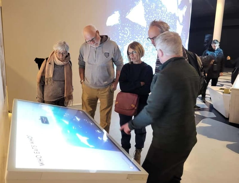 Tromsø: Guided Polar Bear Walk incl. Polaria & Polar Museum - Starting at Tromsø Cathedral and walking with purpose
