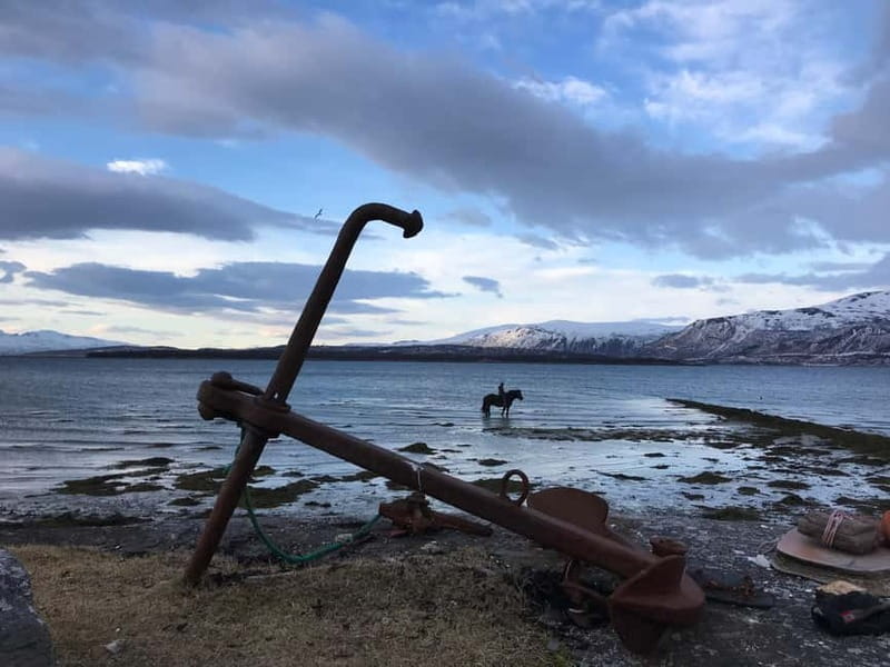 Tromsø: Horseback Riding Tour - Key highlights you should care about