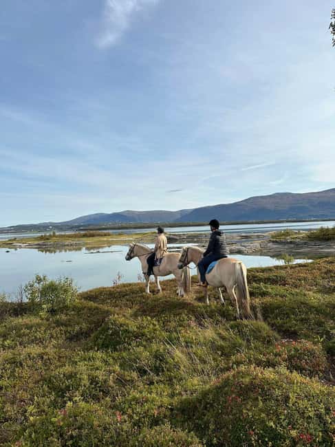 Tromsø: Horseback Riding Tour - Meet at Marisletta farm, then get your horse ready