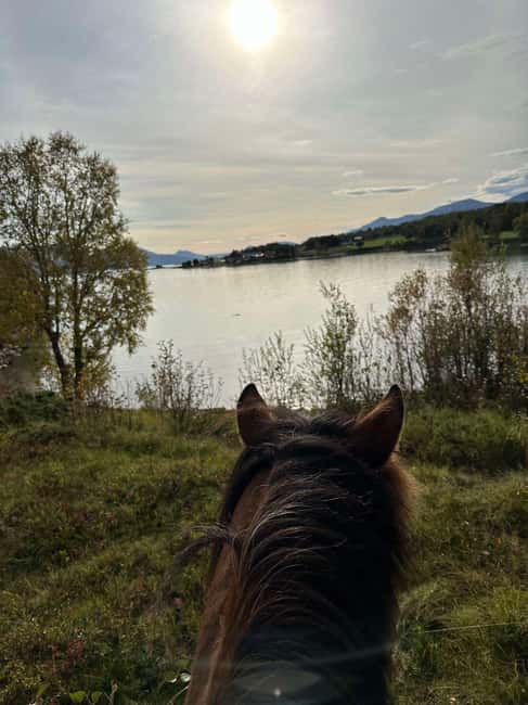 Tromsø: Horseback Riding Tour - Safety, helmets, and real horse welfare on display