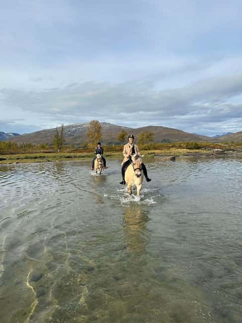 Tromsø: Horseback Riding Tour - Practical tips for dressing, arriving, and staying comfortable