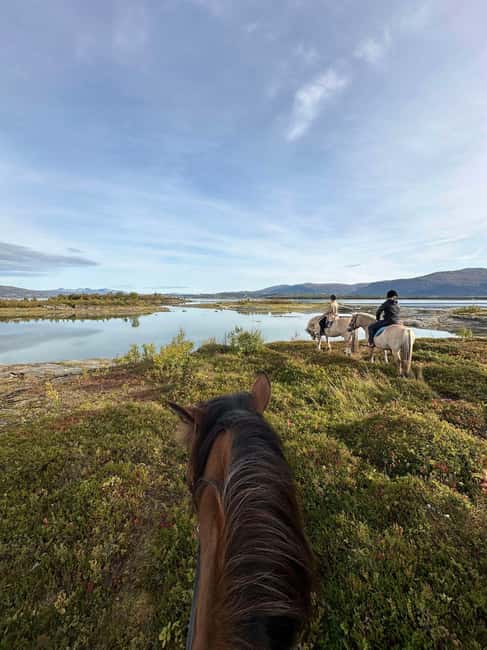 Tromsø: Horseback Riding Tour - From Straumsvegen 766a to the sea edge, tides decide the route