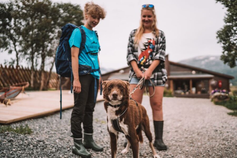 Tromsø: Husky Hike and Puppy Visit with Traditional Lunch - Why the guide talk makes this tour worth the money