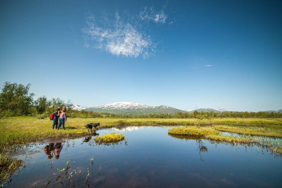 Tromsø: Husky Hike and Puppy Visit with Traditional Lunch - Who should book this husky hike, and who should think twice