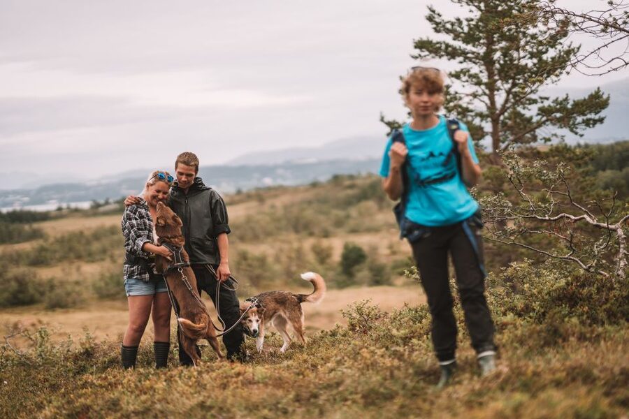 Tromsø: Husky Hike and Puppy Visit with Traditional Lunch - Should you book the Tromsø husky hike and puppy visit?
