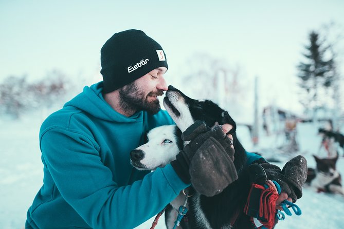 Tromso Husky Self-Drive Sledding with Cake and Drink in Lavvu - Lavvu Warm-Up: Cake and Hot Drinks After You Earn Them