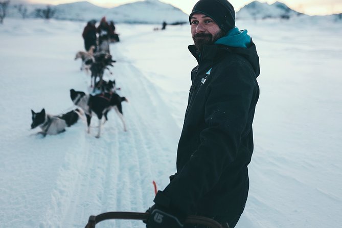 Tromso Husky Self-Drive Sledding with Cake and Drink in Lavvu - Who This Tour Fits Best (and Who Might Find It Too Much)