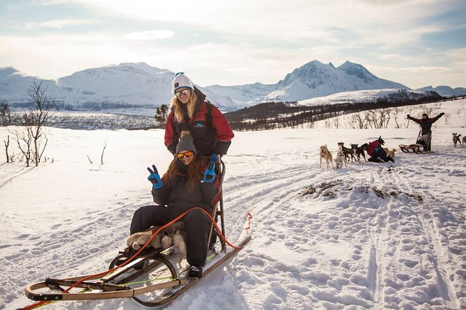 Tromso Husky Self-Drive Sledding with Cake and Drink in Lavvu - Training and Safety: How You Actually Control a Sled