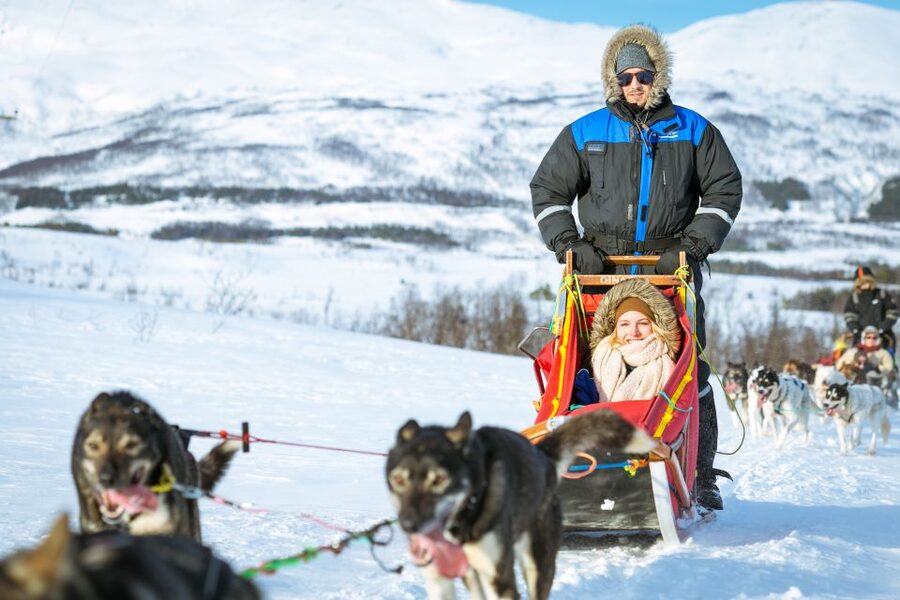 Tromsø: Husky Sled Self-Drive with Traditional Lunch - The Shared Sled Self-Drive: How the Half-Day Actually Runs