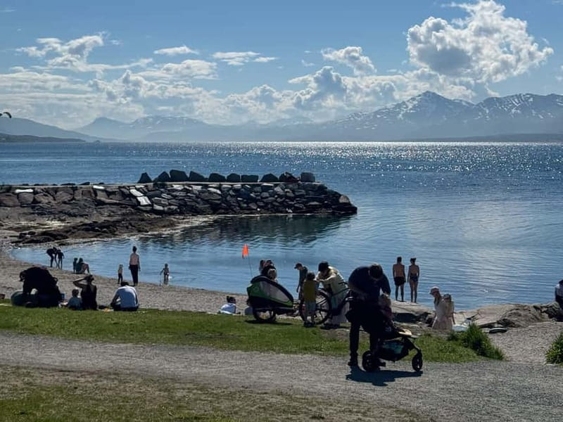 Tromsø: Island Tour & Cable Car with Tromsø Accessible Tours - The basic pitch: what this 4-hour Tromsø island tour delivers