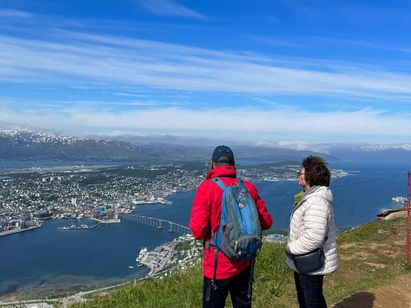 Tromsø: Island Tour & Cable Car with Tromsø Accessible Tours - Who this tour suits best (and who might want a different plan)