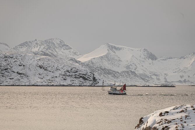 Tromsø: Kvaløya & Sommarøy Guided Fjord Tour with Lunch - The guide experience, and why names like Lorenzo and Vera matter