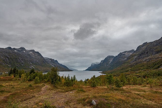 Tromsø: Kvaløya & Sommarøy Guided Fjord Tour with Lunch - Lunch, coffee, tea, and snacks: simple, filling, and Arctic-friendly