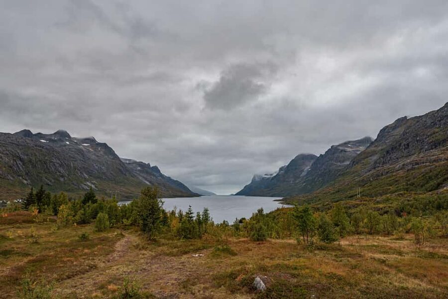 Tromsø: Kvaløya & Sommarøy Guided Tour - Lunch on Sommarøy: where you recharge, not just eat