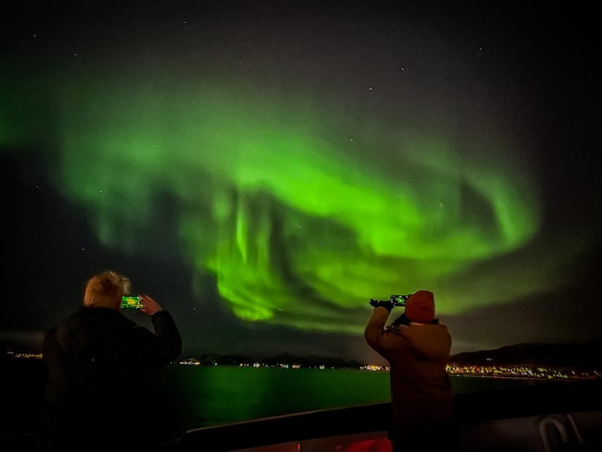 Tromso: Luxury Northern Lights Cruise with Hot Tub & Dinner - Dinner of reindeer stew, plus vegetarian soup on request