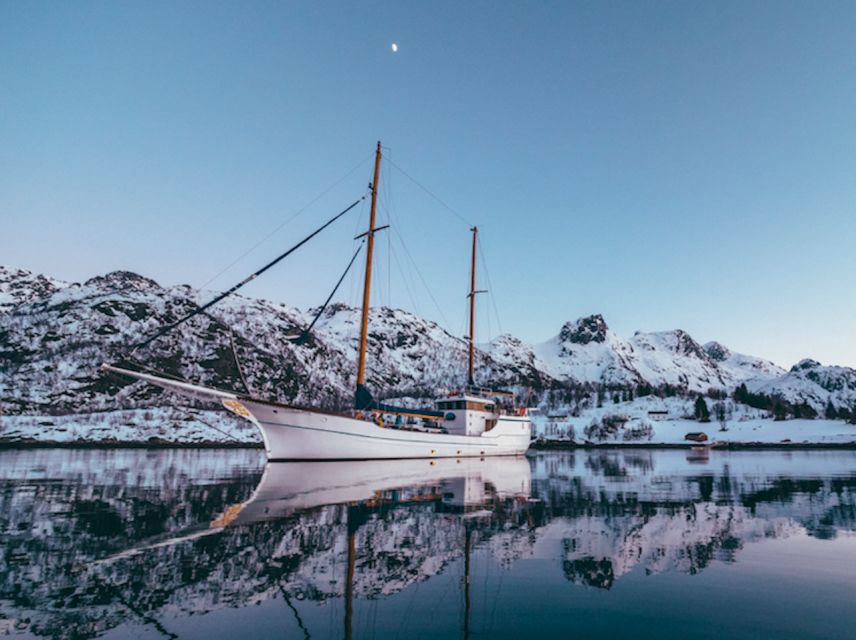 Tromso: Luxury Northern Lights Cruise with Hot Tub & Dinner - Crew and captain: how route planning boosts your chances