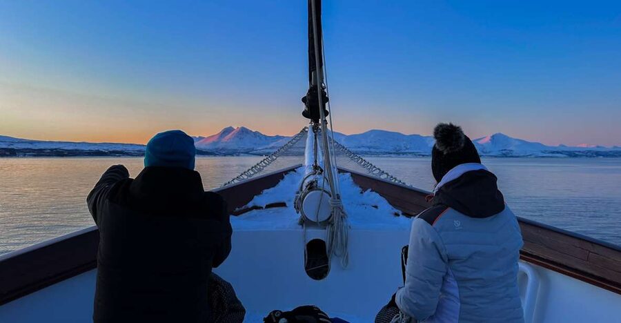Tromsø: Luxury Polar Fjord Cruise w/ Hot Tub & Polar Plunge - Key things to know before you go