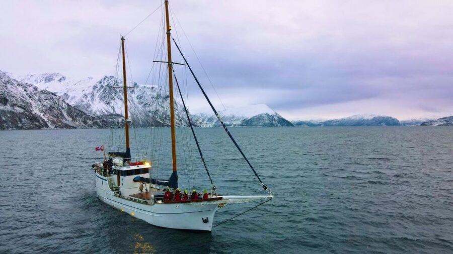 Tromsø: Luxury Polar Fjord Cruise w/ Hot Tub & Polar Plunge - Entering Tromsø’s Arctic fjords, without the big-ship feeling