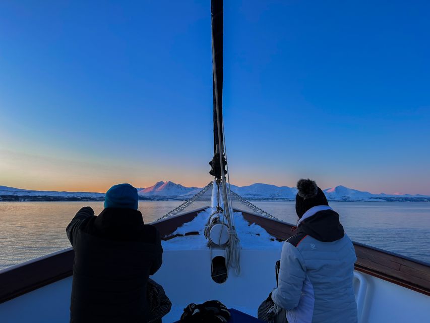 Tromsø: Luxury Polar Fjord Cruise w/ Hot Tub & Polar Plunge - Captain Kenneth and the flexible Balsfjorden route