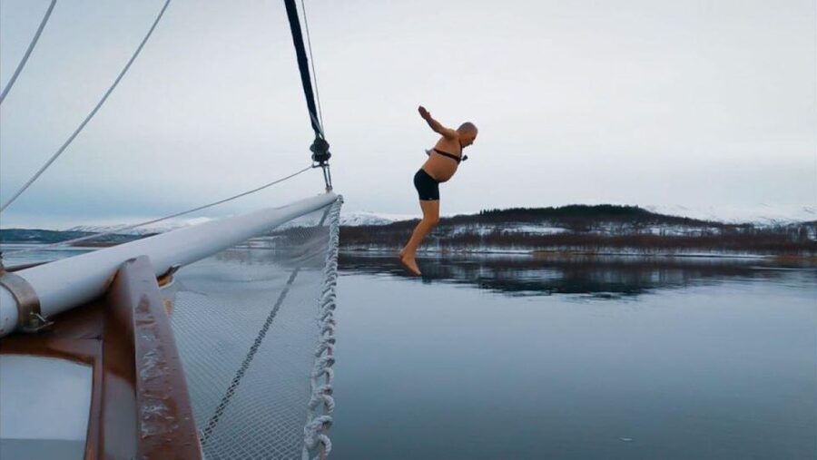 Tromsø: Luxury Polar Fjord Cruise w/ Hot Tub & Polar Plunge - Wildlife spotting: what you might see from the decks