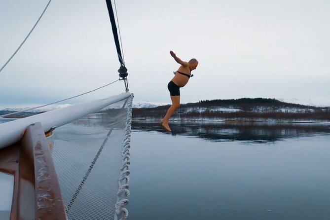 Tromso Luxury Sailing Yacht Polar Fjord Cruise with Lunch - Price and Value in Tromsø: Luxury, but With Real Inclusions