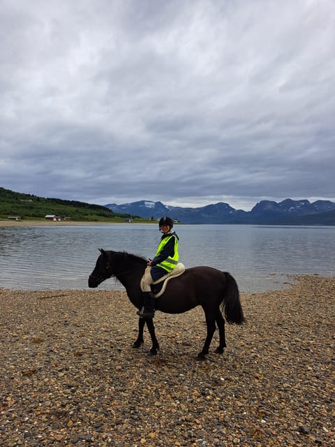 Tromsø: Lyngen Horse Summer Riding Experience - The 60 minutes in the saddle, with Arctic scenery built into the route