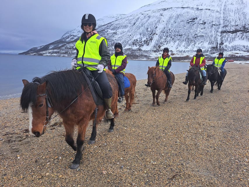 Tromsø: Lyngen Horse Winter Riding Experience - Who This Tour Suits Best (And Who Should Skip It)
