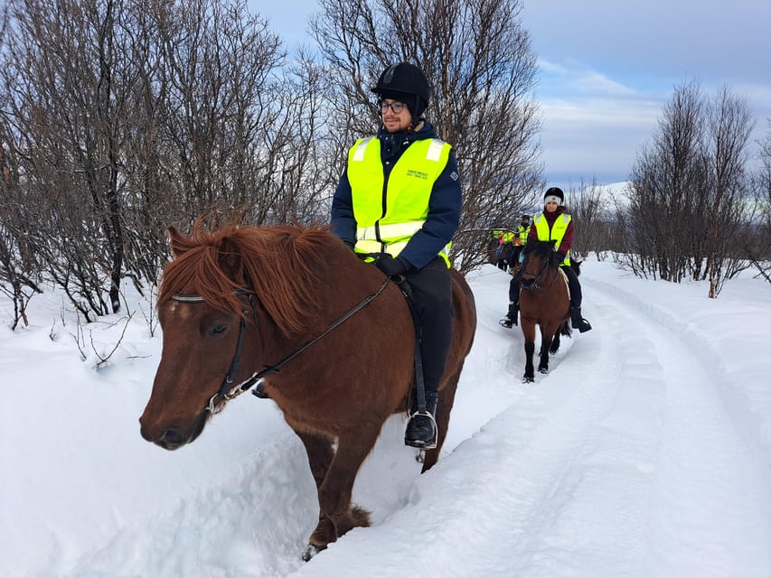 Tromsø: Lyngen Horse Winter Riding Experience - Groom, Saddle, and Safe Mounting in Winter Conditions