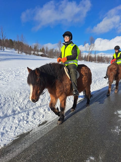 Tromsø: Lyngen Horse Winter Riding Experience - The Ride Out: Cold Air, Quiet Roads, and Big Views