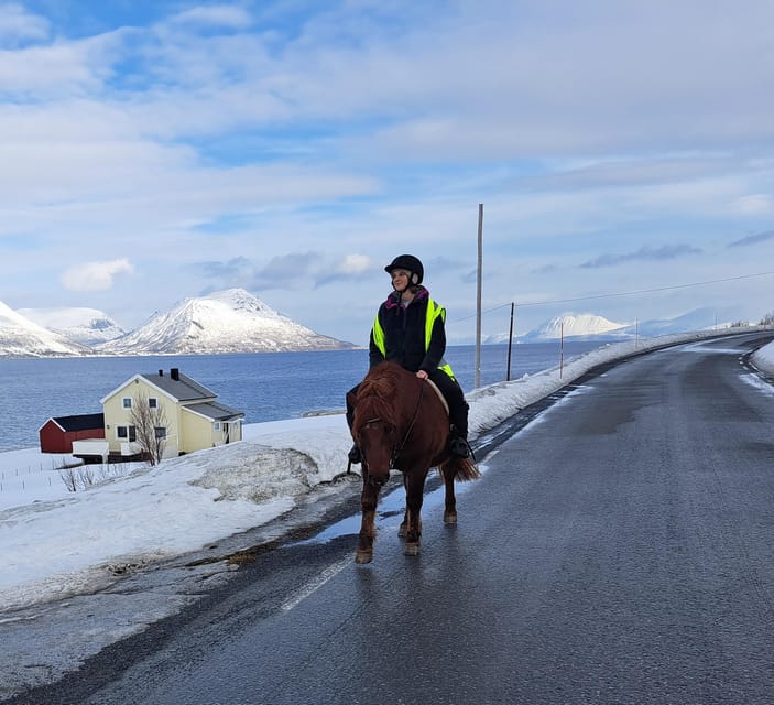 Tromsø: Lyngen Horse Winter Riding Experience - Meeting the Herd: Where the Tour Actually Starts